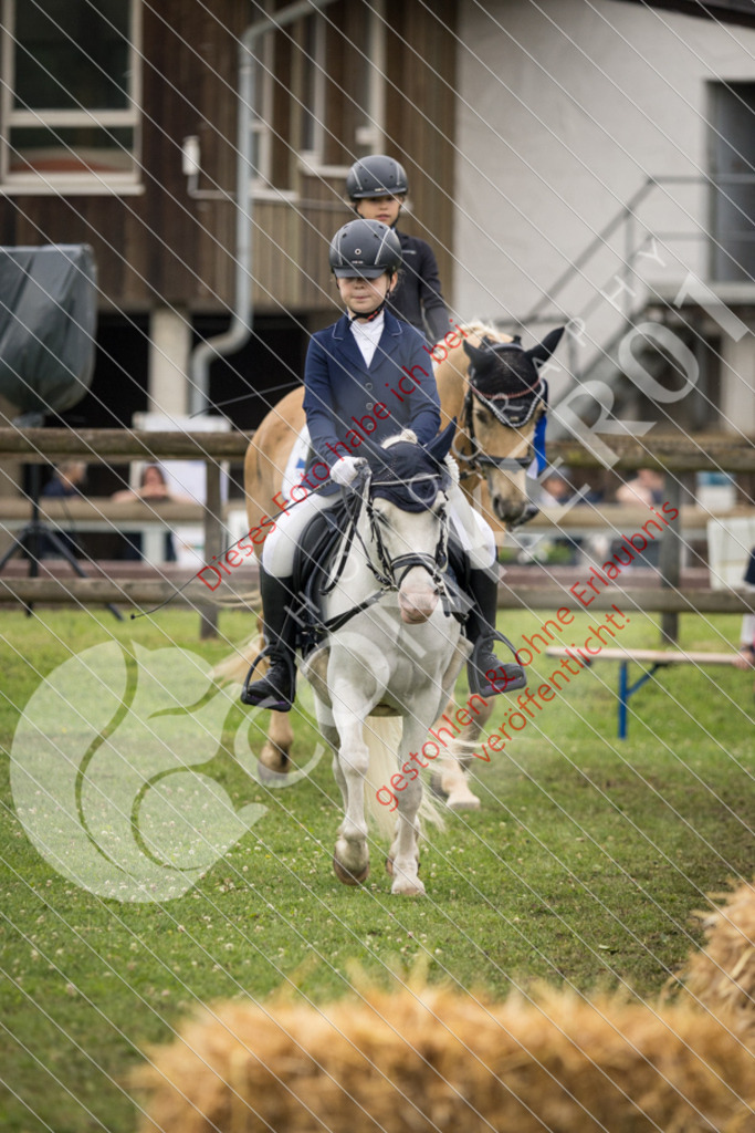IMG_2000 | Sport-, Event- und Tierfotos in Profiqualität. Einfach auswählen, bestellen und herunterladen. Dein Moment – perfekt festgehalten.