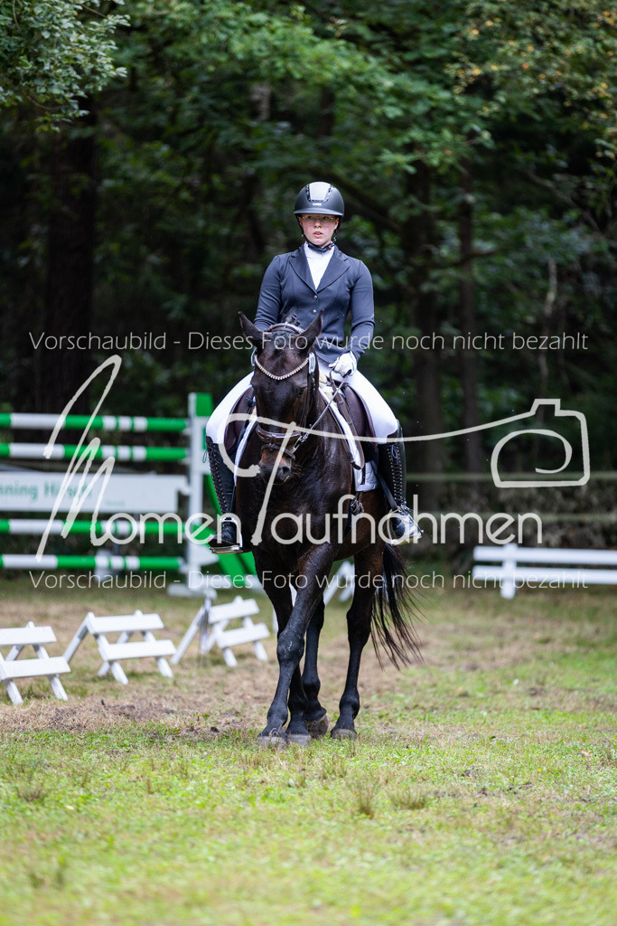 HB-A-Dressur-121 | MomenTaufnahmen Pferdesportfotos
