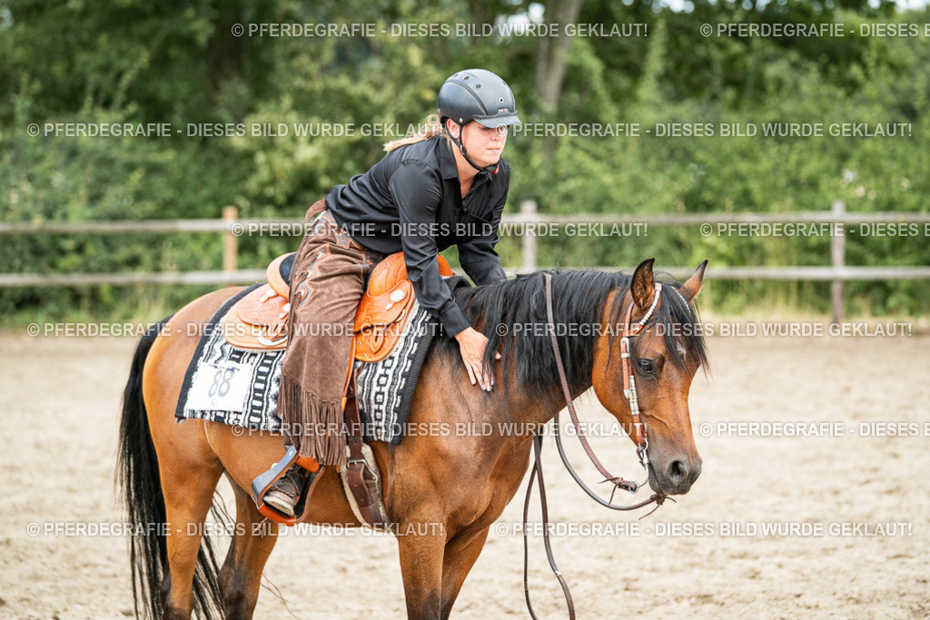 DSC02056 | Pferdegrafie