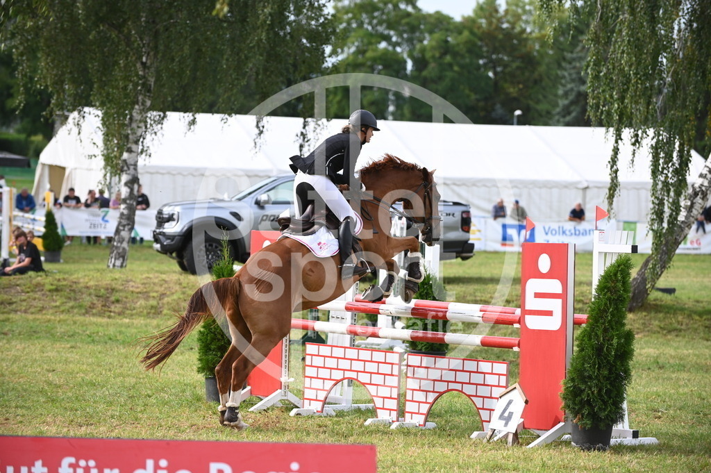 DSC_3147 | sattelsport - Realisiert mit Pictrs.com