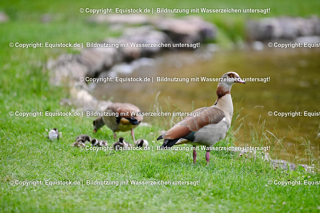 TS_20250608_Impressionen_0214 | Foto: Thomas Hartig