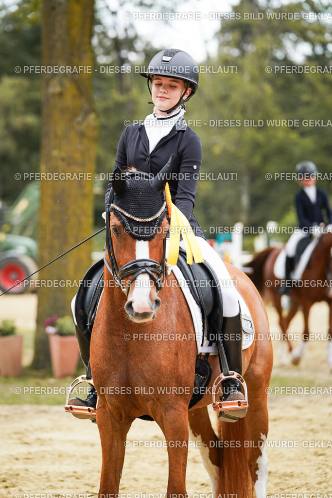 DSC06221 | Pferdegrafie