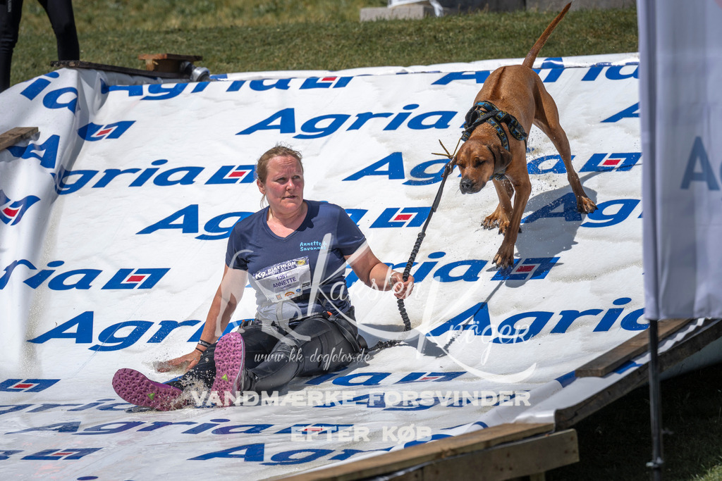 1230_ZZ97733 | kk-dogfotos