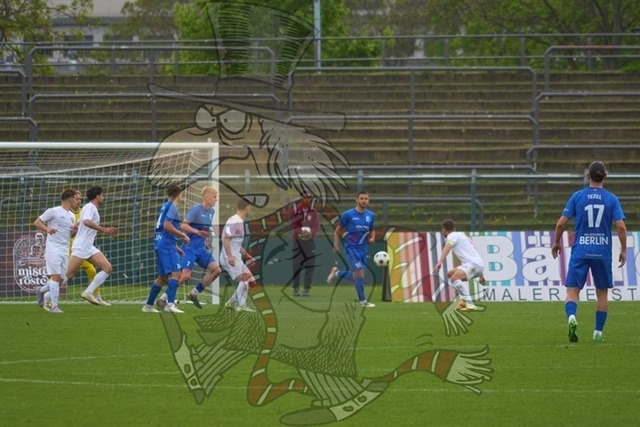 BFC Dynamo vs. VSG Altglienicke 056 | mythos-online-redaktion