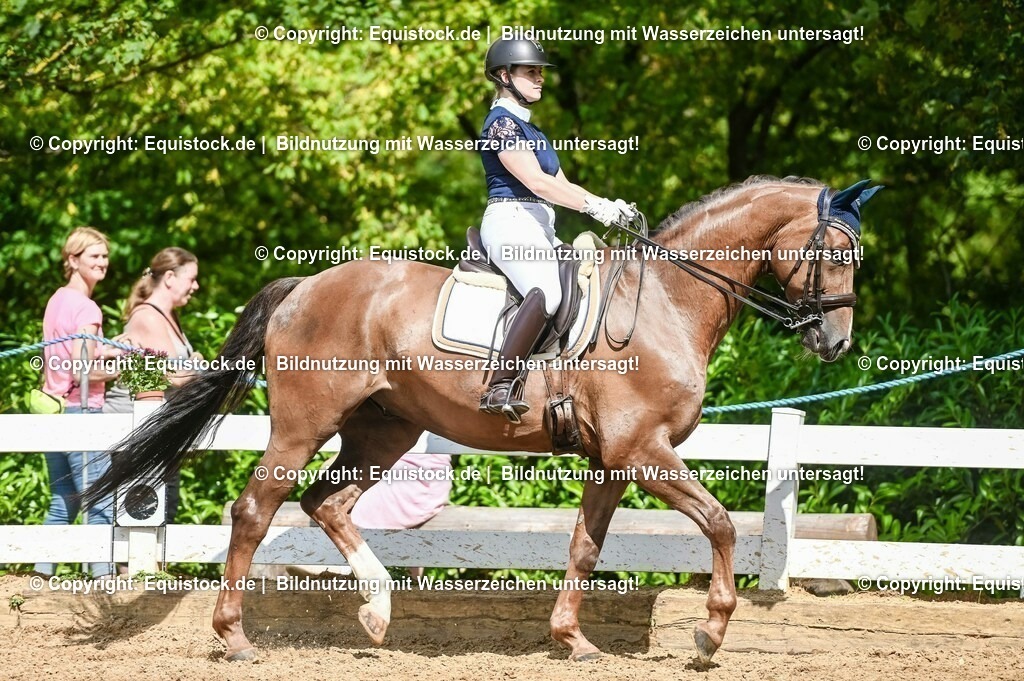 20230716_01_Dressurprüfung Kl.M_0352 | equistock
