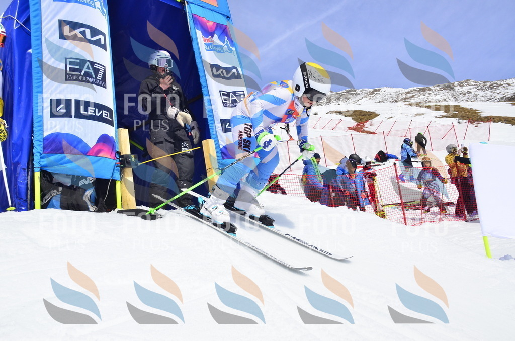 _ELE1835 | holidayphoto