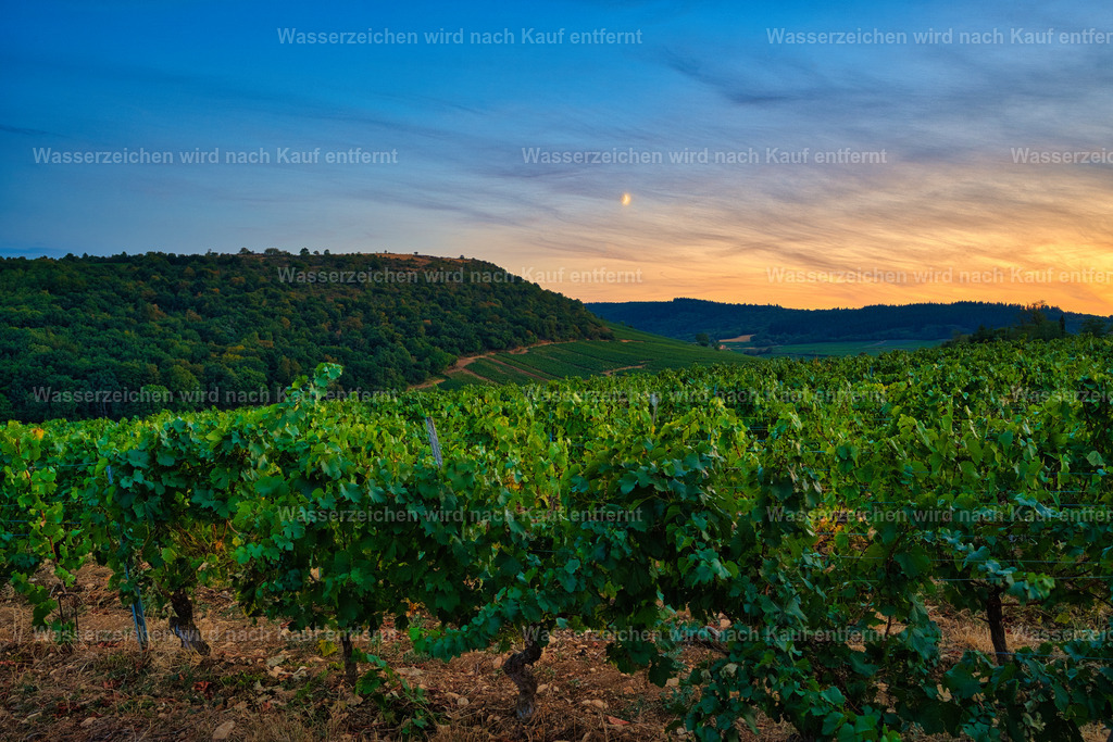 Bourgogne - Sonnenuntergang über den Weinbergen | Ein stimmungsvoller Sonnenuntergang über den sanften Weinbergen der Bourgogne. Warmes, goldenes Licht liegt über den Reben, während die letzten Sonnenstrahlen die Landschaft in leuchtende Orange- und Goldtöne tauchen. Eine ruhige, typisch burgundische Abendstimmung. - Realisiert mit Pictrs.com