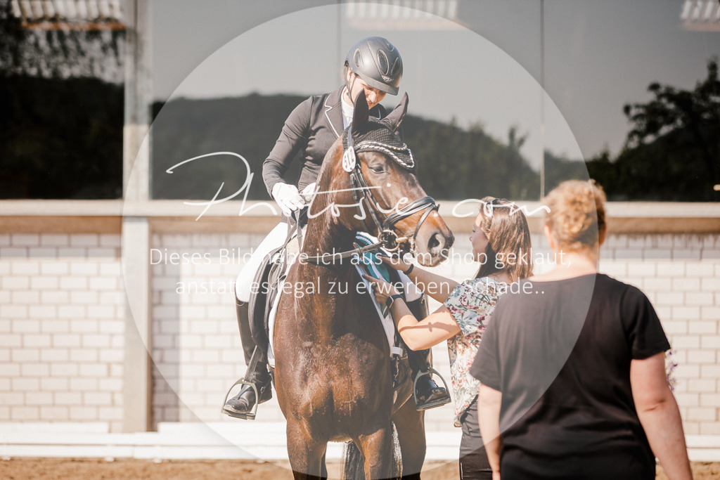 3I6A9207 | Stimmungsvolle Portraits und Reitsportfotografie im Ruhrgebiet und im Münsterland.

Pferdefotografie, Hundefotografie, Tierfotografie, Reportagen, Portraits von Tier und Mensch, Turnierfotografie in Bochum, Recklinghausen, Marl, Haltern am See, Dülmen.. - Realisiert mit Pictrs.com