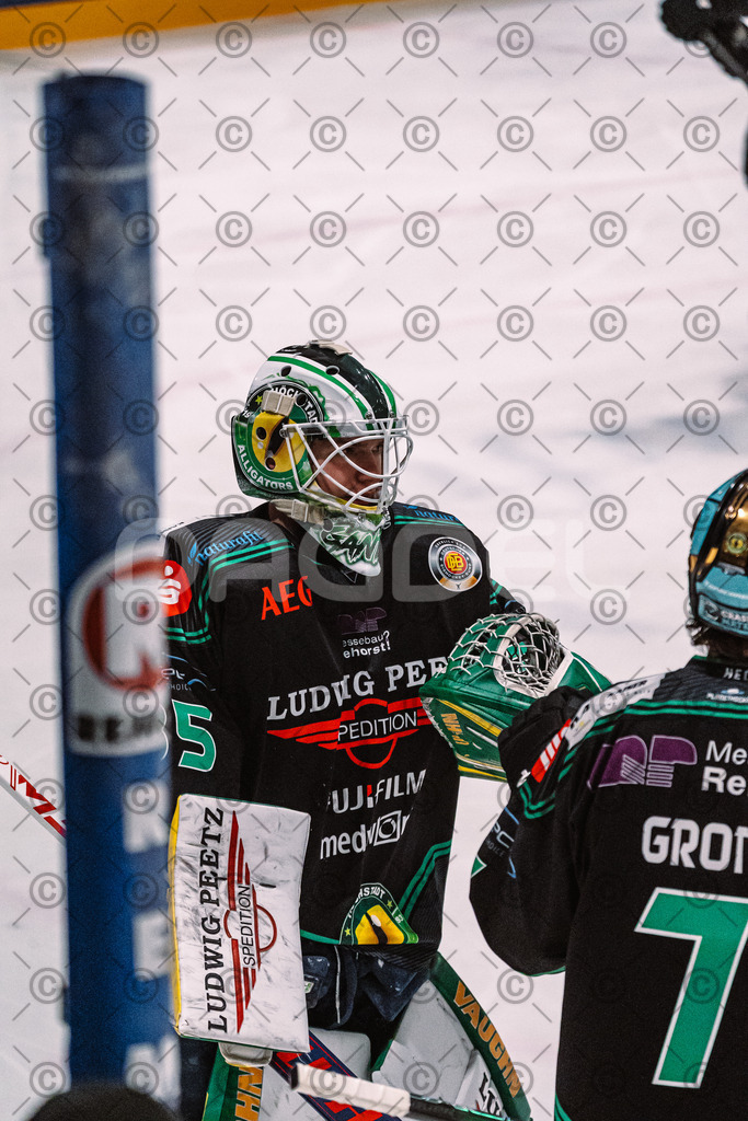Alligators_vs_Bayreuth_16_01_2026-25 | Höchstadt Alligators Fotogalerie: Eishockey-Action aus Franken. Professionelle Spielfotos, Portraits & Stadionbilder zum Download. Jetzt entdecken! - Realized with Pictrs.com