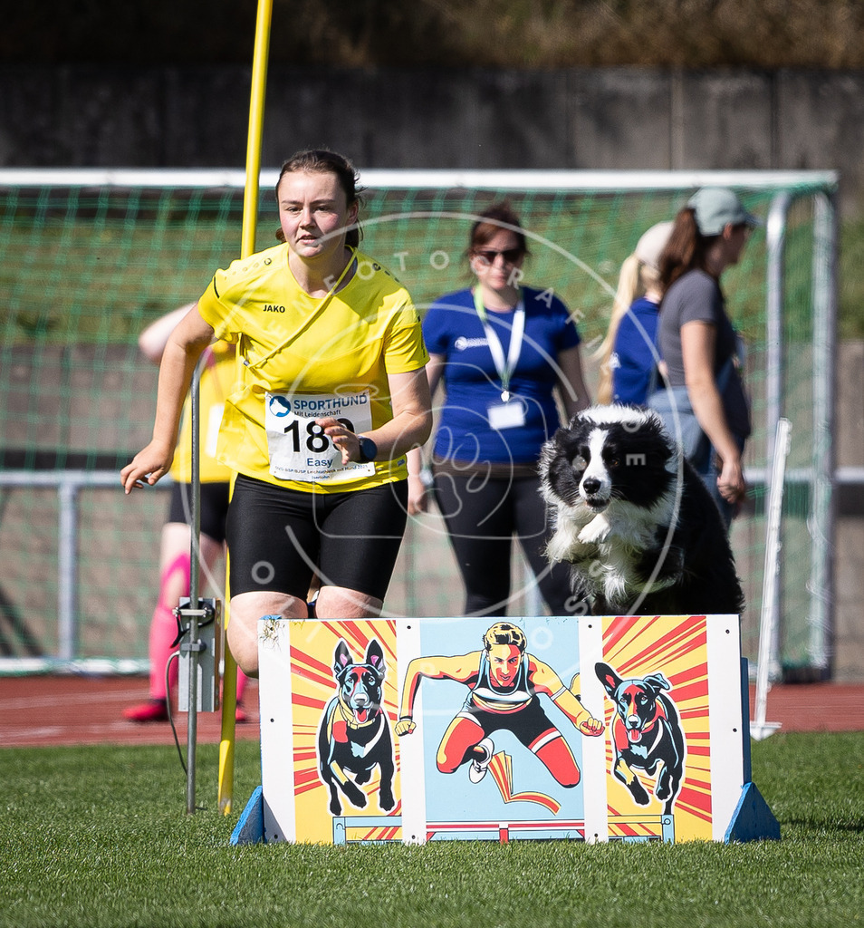 Pfotenfotografie_DV3A0492 | Hundefotografie, Tierfotograf, Pfotenfotografie, Fotoshooting Hund, Hunde Portrait, Hundesport, Hundeportraits, Heideshooting, Hunde, Sportfotograf, Hundefotograf, Turnierhundsport, THS,  - Realisiert mit Pictrs.com