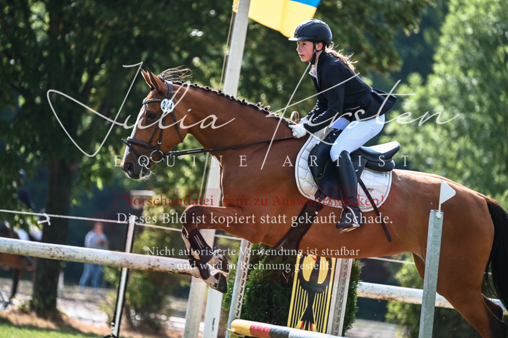 DSC_7696 | Pferde- und Turnierfotografie in Westsachsen. Pferdeportraits, Auftragszeichnungen und intuitive Kunst.