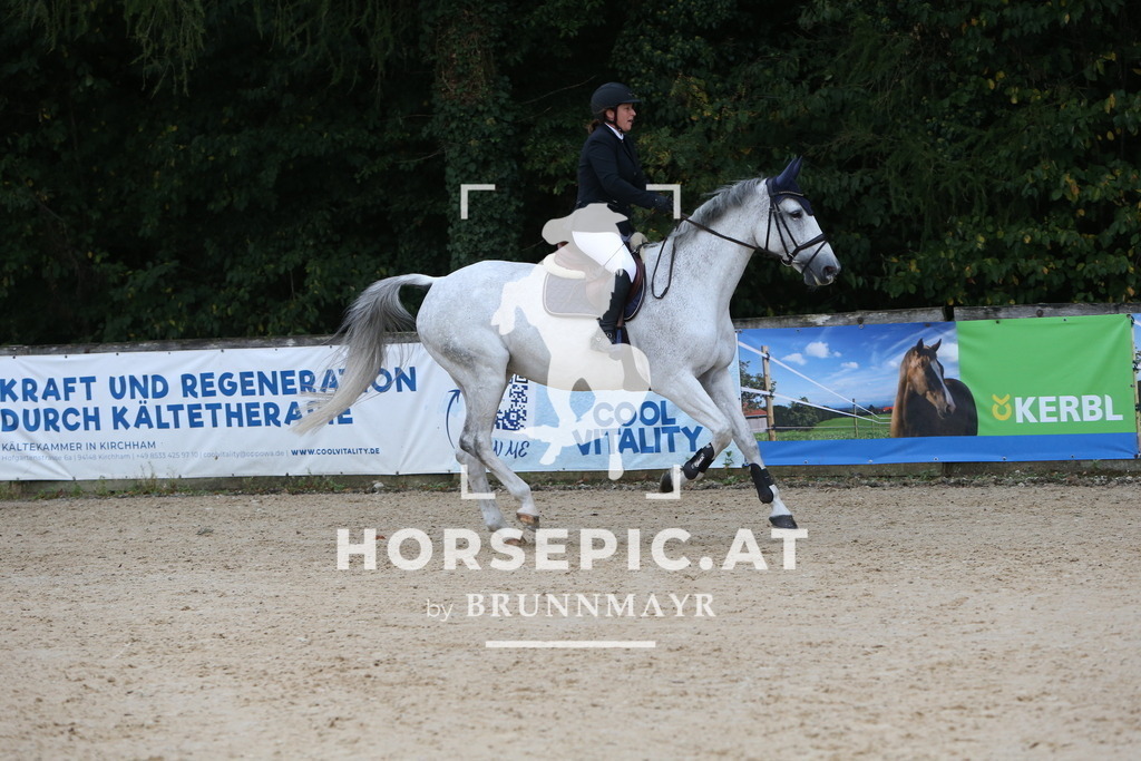 DL2Q0370 | Willkommen bei Brunnmayr - Design & Fotografie – Ihrem Spezialisten für Reitturniere und Pferdeveranstaltungen in Oberösterreich, Salzburg und Bayern! Seit über 17 Jahren sind wir leidenschaftlich dabei.