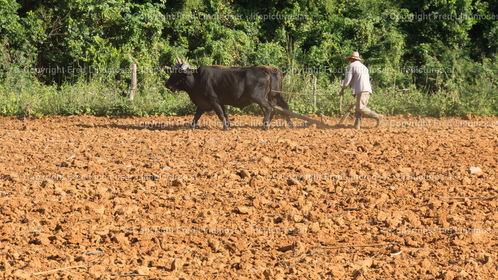 Kuba 2016-04240 | Fotos und Fotoprodukte - Realisiert mit Pictrs.com