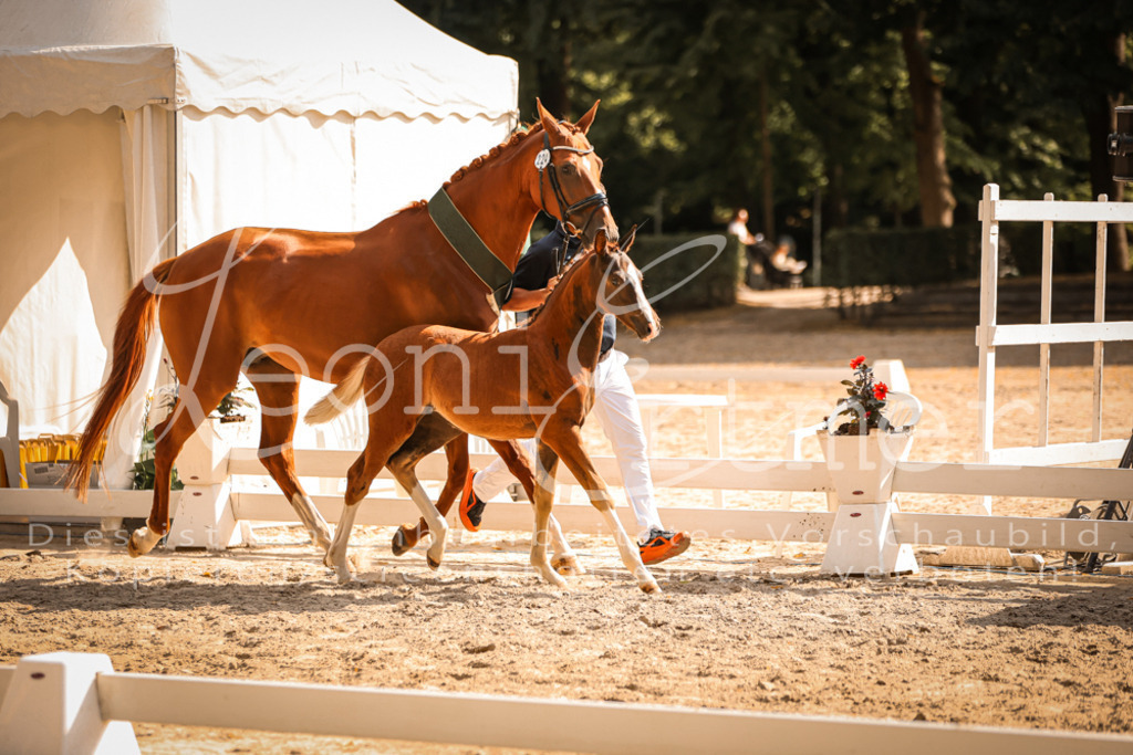 09.DoWBD00128 | Leoni Ertmer Photography - Realisiert mit Pictrs.com