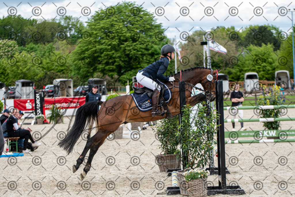 KPT_6320 | andre_photographic