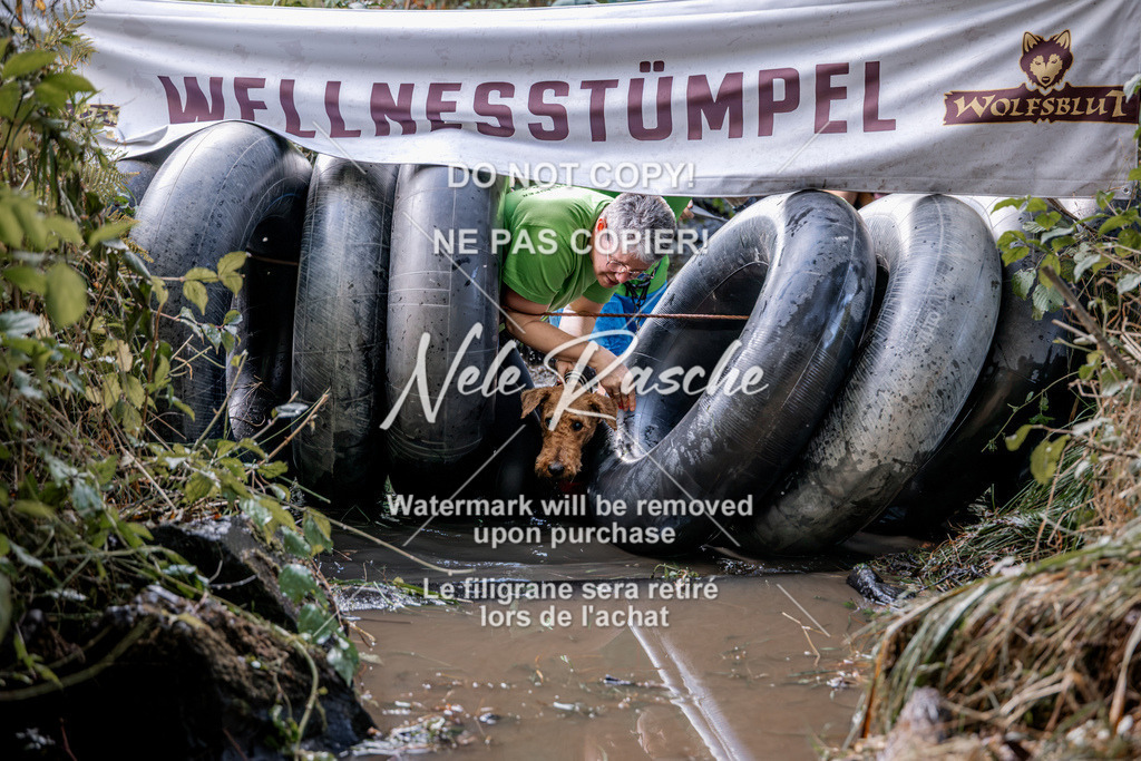 nelerasche_Hunsrück2026_Sa1400-1500_71 | nelerasche