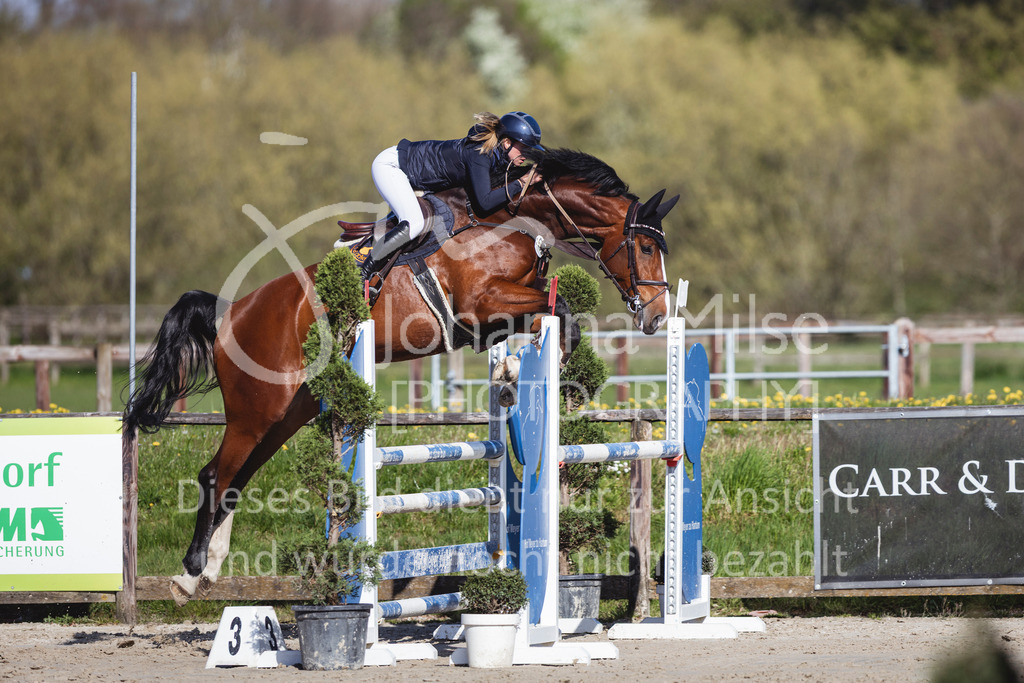 260421_Frühlingsfest_4_SprPf-L-417 | Deine schönsten Turniermomente als professionelle Fotos! Entdecke hochwertige Pferdesport-Fotografie im Online-Shop. Jetzt Fotos finden & bestellen!
