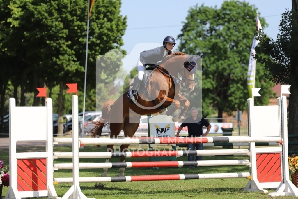 IMG_6465 | Pauline Ullmann Photography - Realisiert mit Pictrs.com