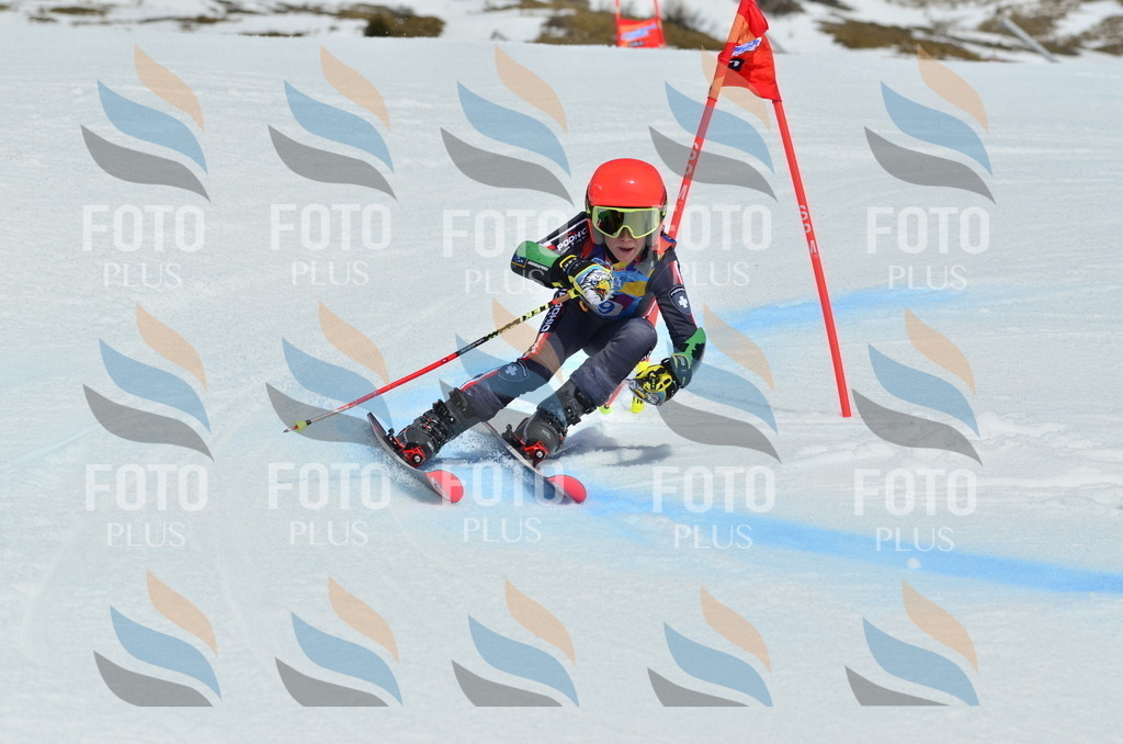 _ELE2173 | holidayphoto