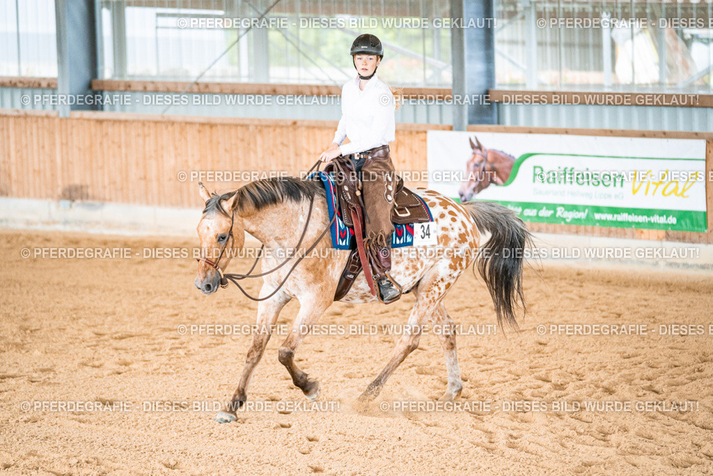 DSC09381 | Pferdegrafie