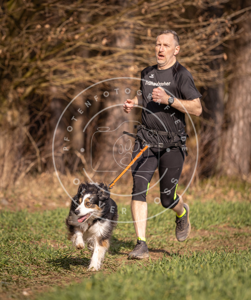 DV3A6398 | Hundefotografie, Tierfotograf, Pfotenfotografie, Fotoshooting Hund, Hunde Portrait, Hundesport, Hundeportraits, Heideshooting, Hunde, Sportfotograf, Hundefotograf, Turnierhundsport, THS,  - Realisiert mit Pictrs.com