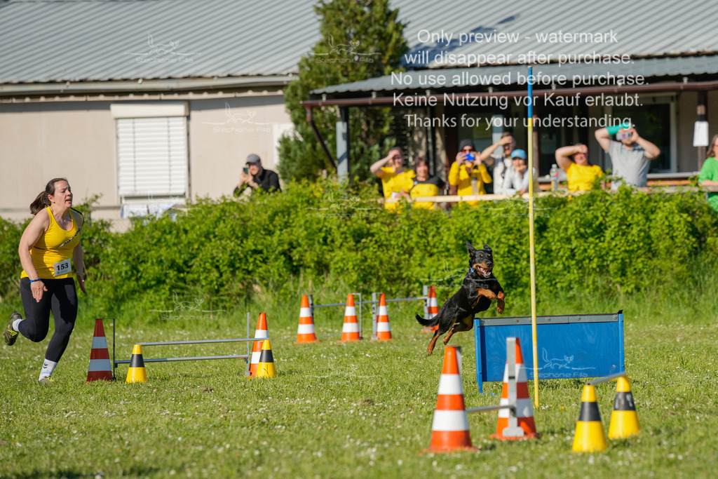 Sa_CSC-488 | stephaniefillaphotographie - Realisiert mit Pictrs.com