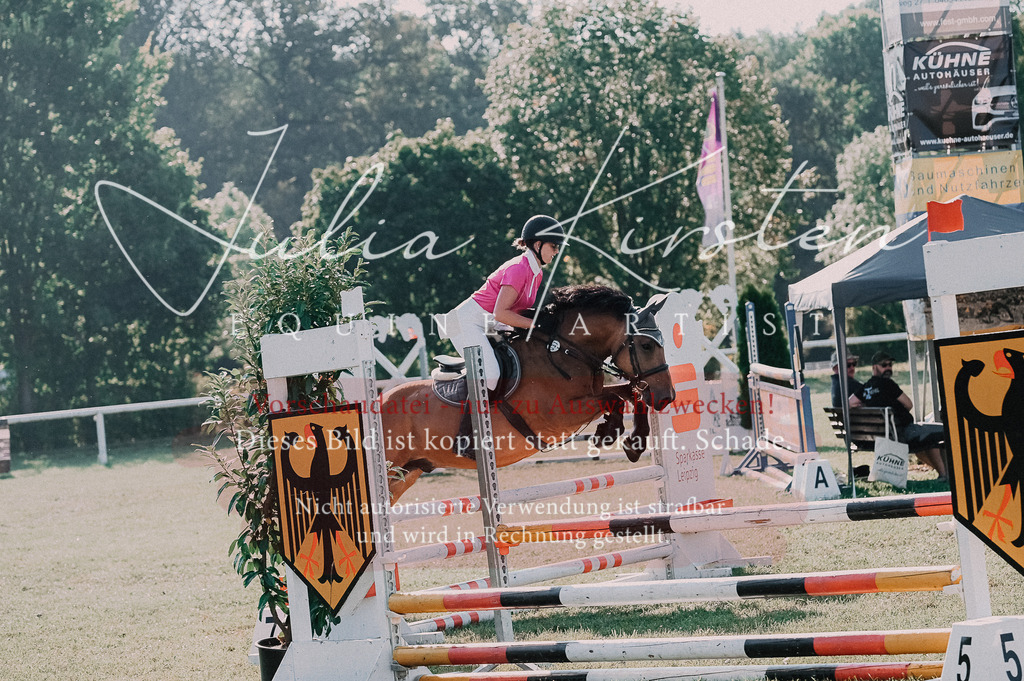 DSC_4584 | Pferde- und Turnierfotografie in Westsachsen. Pferdeportraits, Auftragszeichnungen und intuitive Kunst.