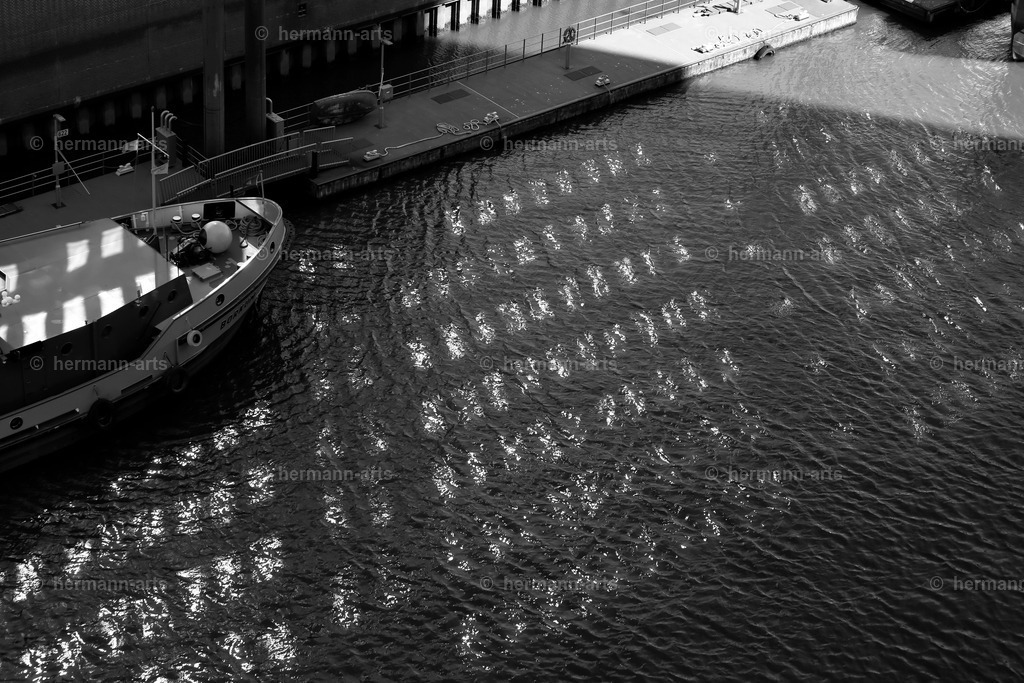 Hamurg_Arts-011 | Photo Foto Kunst Art schwarzweiss Bilder Rheine Münster Berlin Blumen 