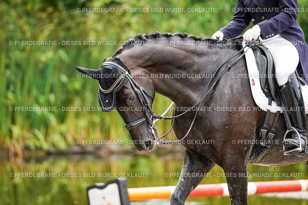 DSC00013 | Pferdegrafie