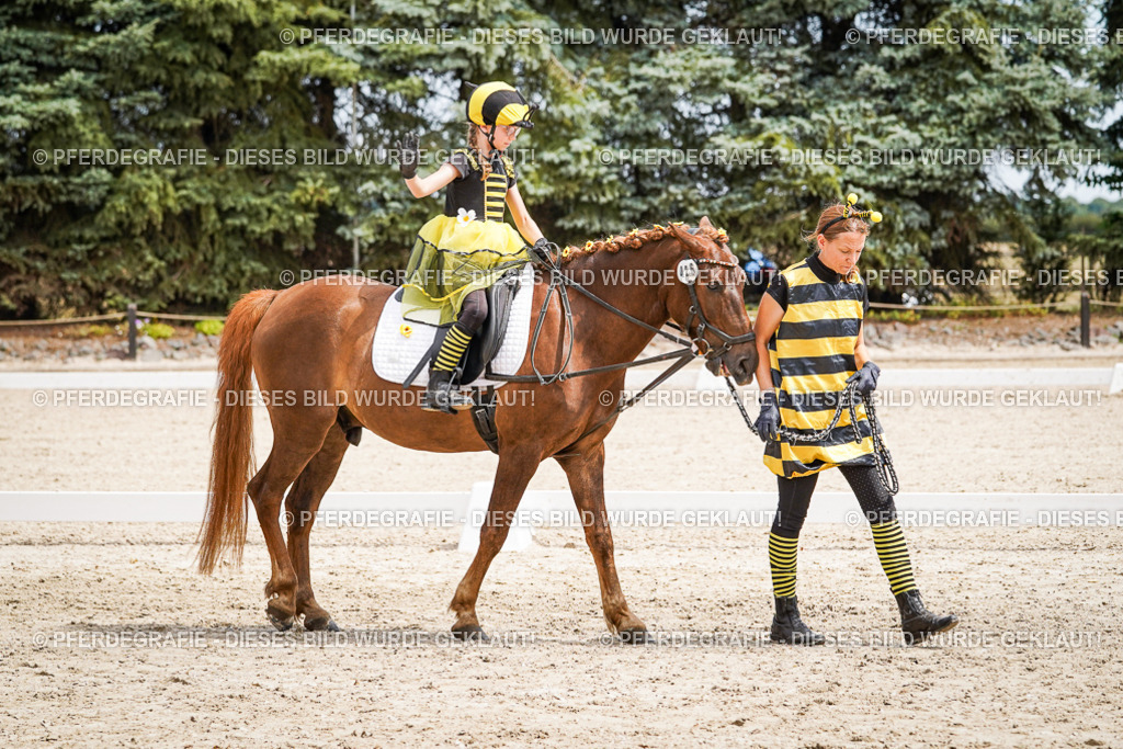 DSC03237 | Pferdegrafie