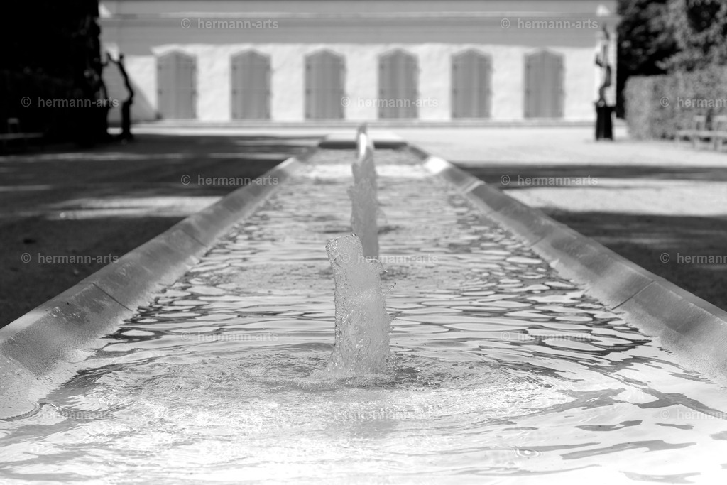 Bagno_09_07_24_DPP-24a | Photo Foto Kunst Art schwarzweiss Bilder Rheine Münster Berlin Blumen 