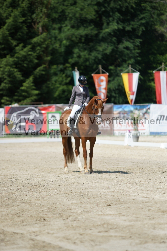 DSC01586 | equestrian-live-com
