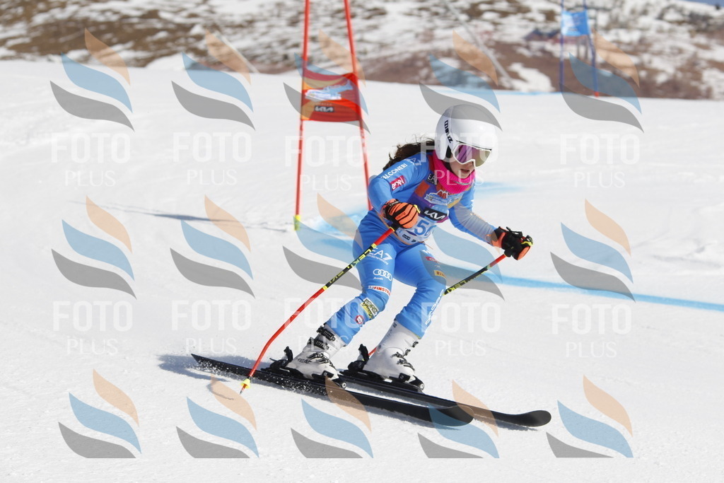 _U3G9531 | holidayphoto