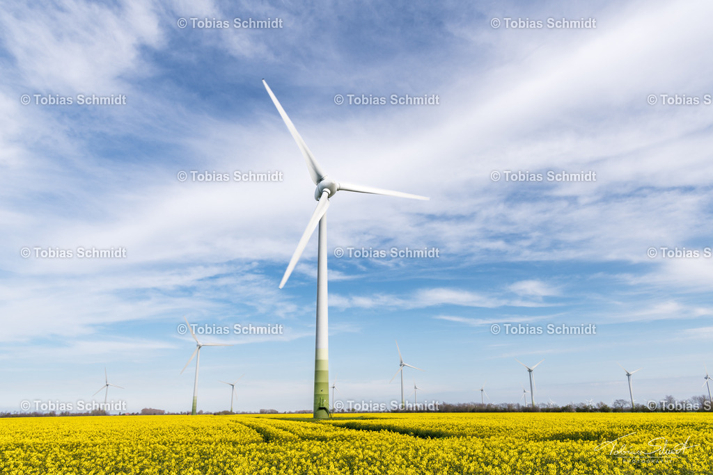 Fehmarn__DSC2340 | Fotoprodukte, Kalender und Wanddeko direkt vom Fotografen auf Fehmarn. Ob Wandbild auf Alu-Dibond, hinter Acrylglas oder auf Leinwand – hier können Sie Ihr Lieblingsbild kaufen. - Realisiert mit Pictrs.com