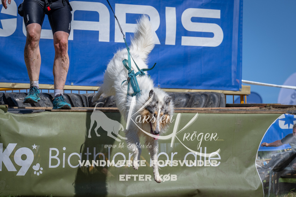 1255_ZZ97520 | kk-dogfotos