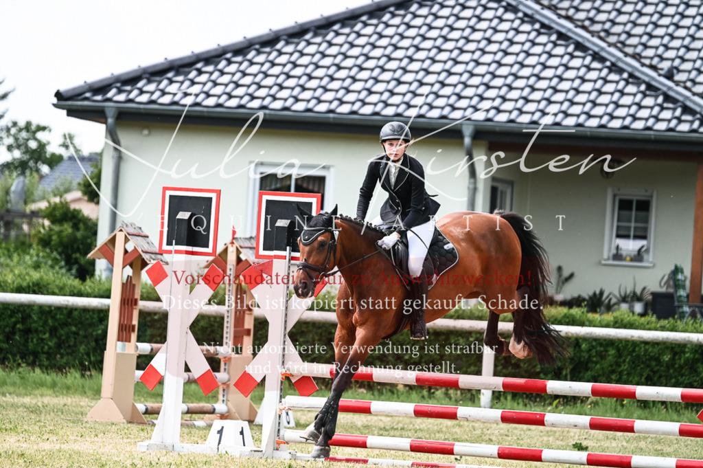 DSC_9013 | Pferde- und Turnierfotografie in Westsachsen. Pferdeportraits, Auftragszeichnungen und intuitive Kunst.
