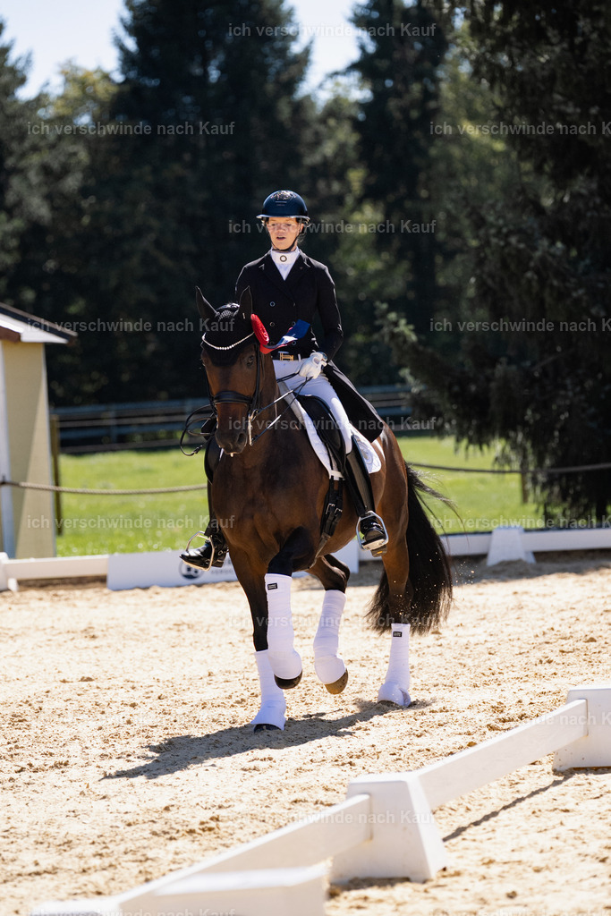 FHC2026_P12_Siegerehrung_13217 | working equitationturnier fotograf videograf stoibphotography marixx film working equitation deutschland reitsport turnierfotografie eventfotografie equestrian events