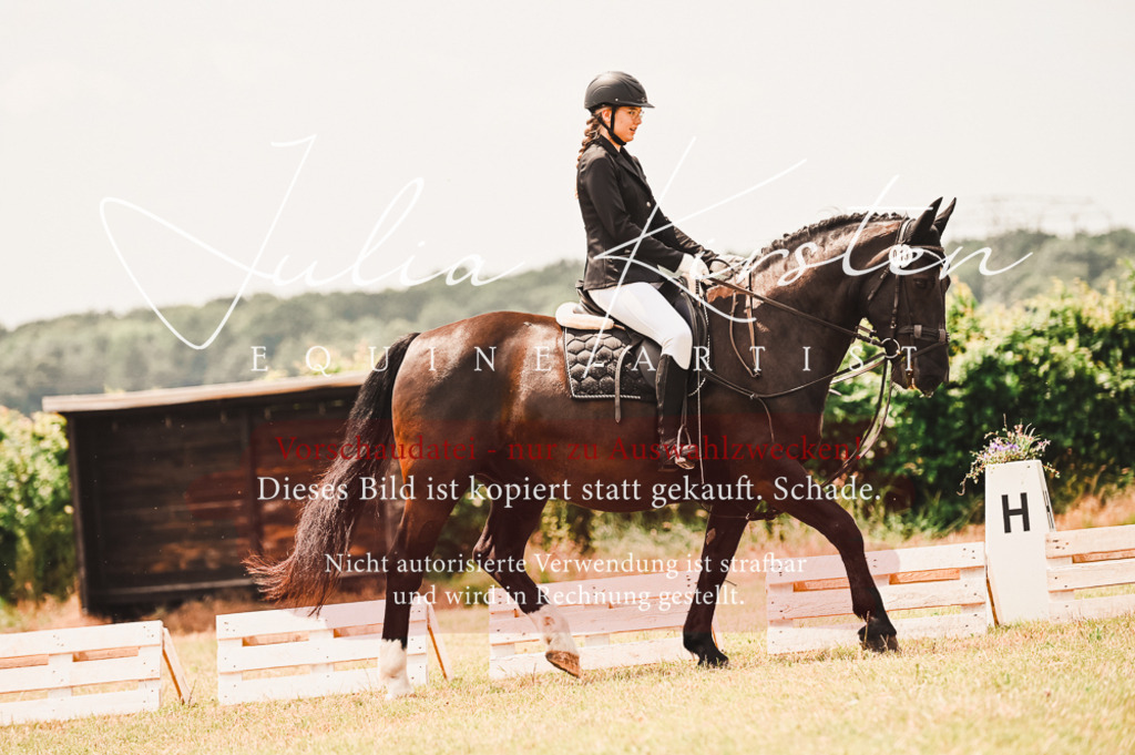 DSC_6270 | Pferde- und Turnierfotografie in Westsachsen. Pferdeportraits, Auftragszeichnungen und intuitive Kunst.