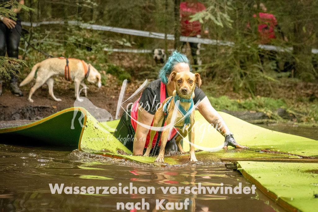 1418_ZZ91874-Bearbeitet | kk-dogfotos