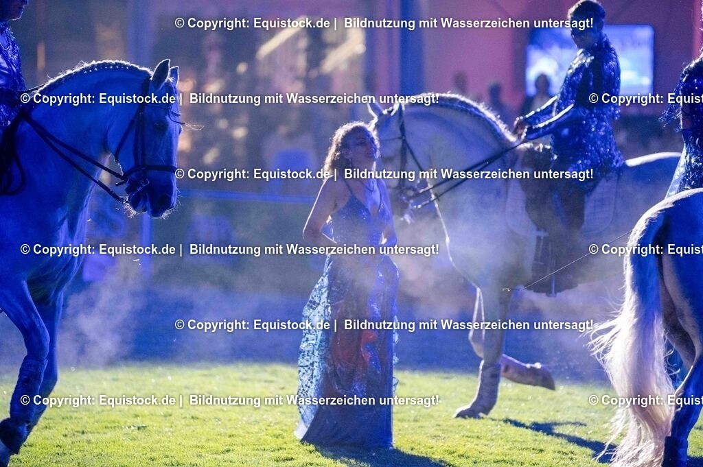 20250606_Lange-Pferdenacht_1567 | Foto: Thomas Hartig