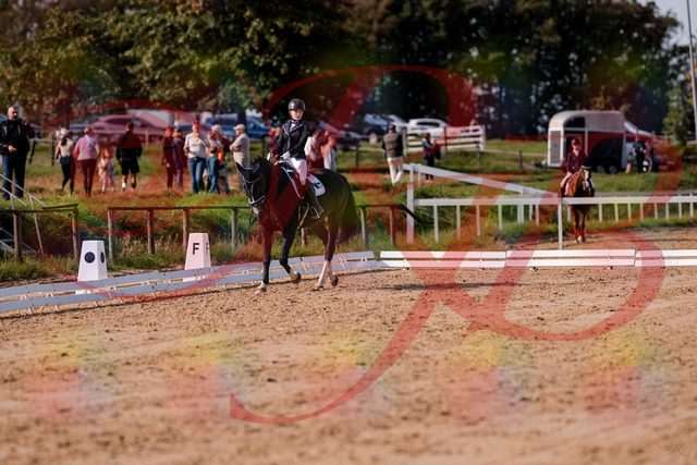 2026_10_03_Siefer-Hof_121551_Z81_17593900 | Professionelle Reitsport-, Turnier- und Eventfotografie von Robert Broda. Galerien mit ausgewählten und bearbeiteten Bildern direkt online ansehen und bestellen.