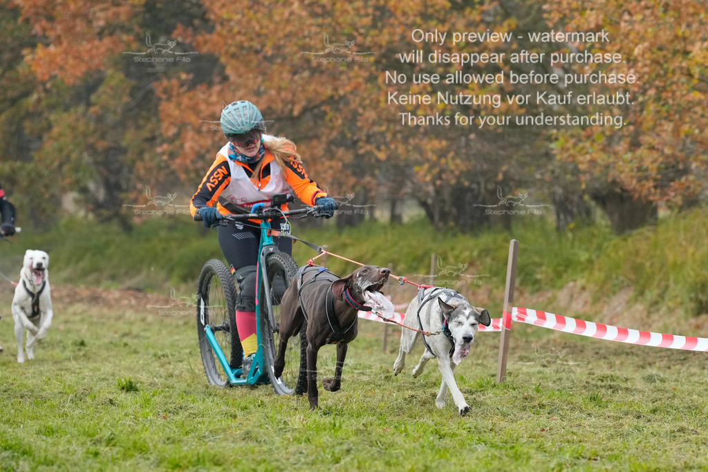 Visbeck_Sa_DS2DR2-29 | stephaniefillaphotographie - Realisiert mit Pictrs.com