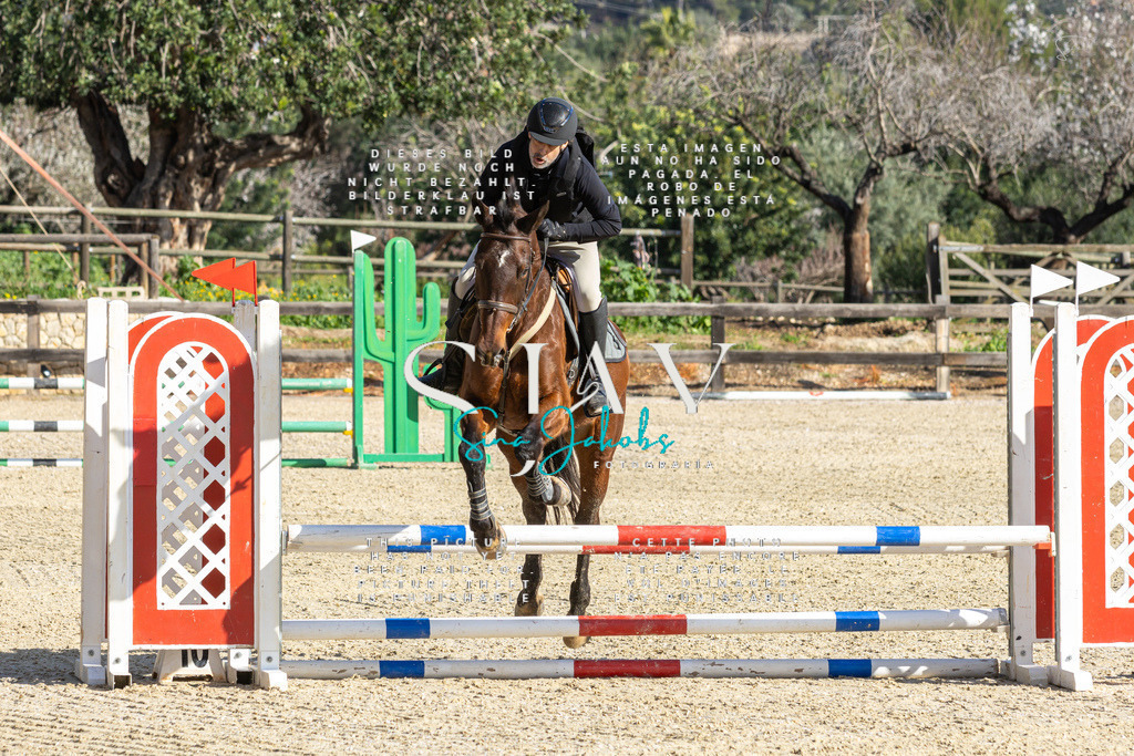 IMG_3751 | s-jay-photography - Realisiert mit Pictrs.com