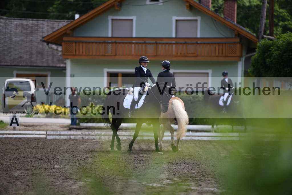 DSC_1324 | equestrian-live-com