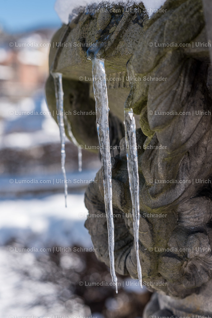 10049-6203 - Barockgarten Blankenburg | Stockfoto und Bilderpool mit Bildmaterial aus Deutschland, dem Harz, Halberstadt, Quedlinburg, Wernigerode und weltweit. Qualitativ hochwertige und professionelle Fotos anschauen und kaufen. - Realisiert mit Pictrs.com