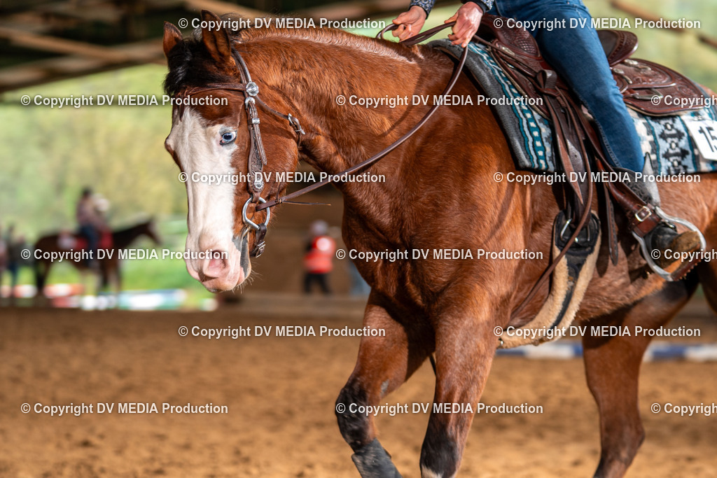 Balingen Tag 4-1056 | dv-media-shop - Realisiert mit Pictrs.com