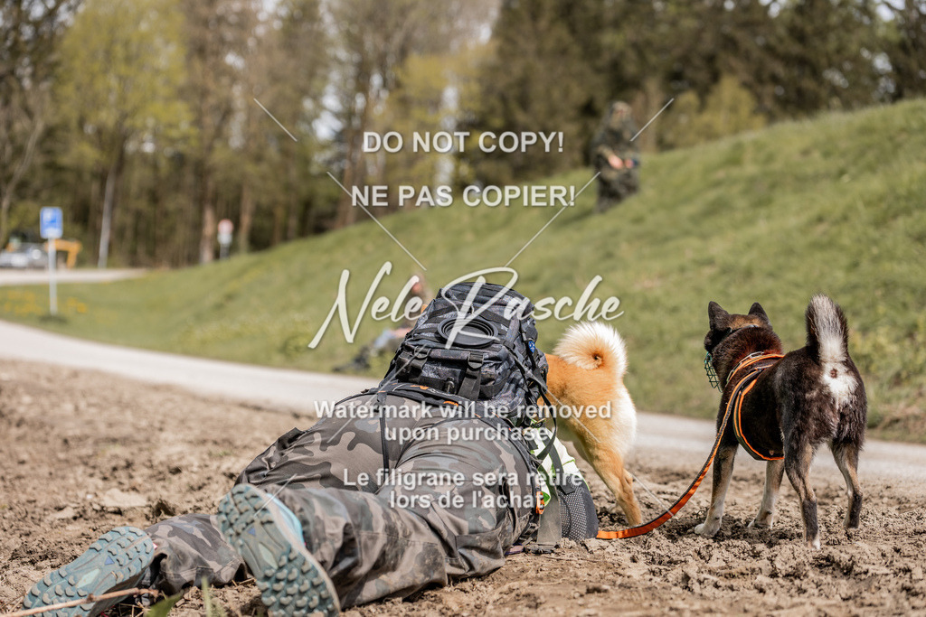 6Z1A2117 | nelerasche