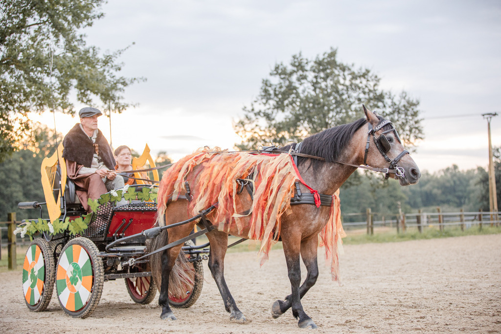 846A0268 | fotosleben - Realizado com Pictrs.com