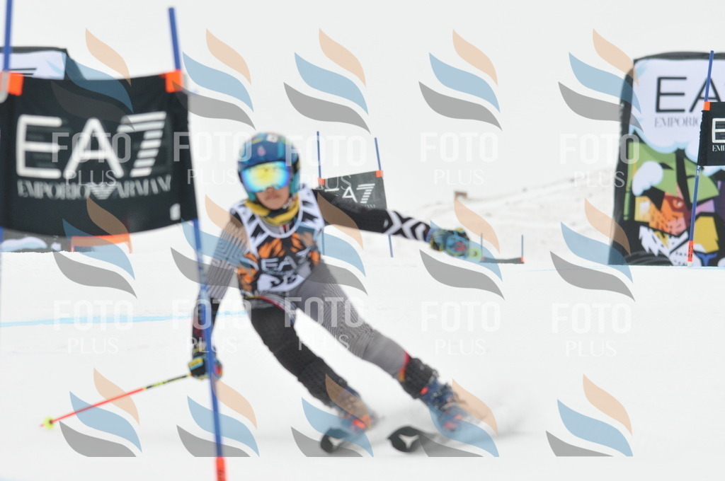 DSC_7968 | holidayphoto