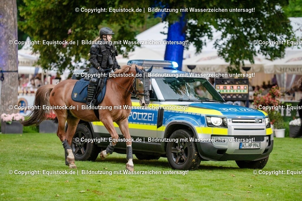 20250606_Lange-Pferdenacht_0730 | Foto: Thomas Hartig